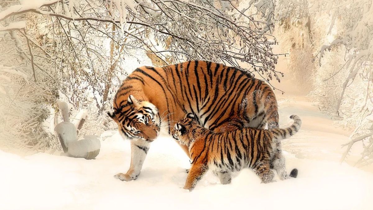 Какво хубаво се случи тази седмица?
