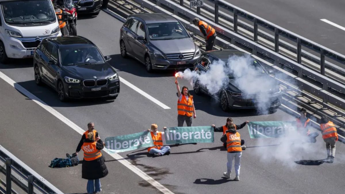 Що за работа вършат протестите?